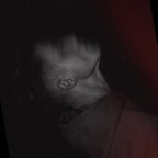 justvins Profile Picture