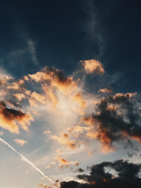 Video leaks kansaseatbeef