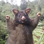 kasie Profile Picture