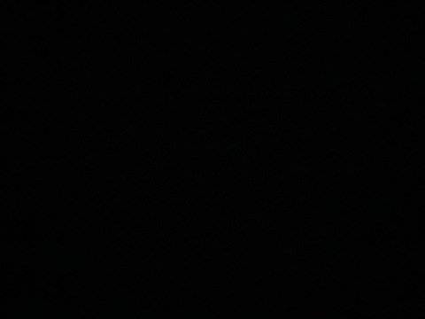 Video leaks kattastrophii