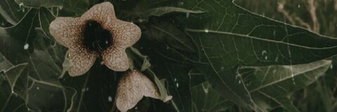 Video leaks kayleersnow Video leaks kayleersnow