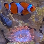 kevinj75 Profile Picture