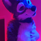 kibaib Profile Picture