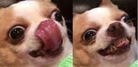 Video leaks kingdomcosplay