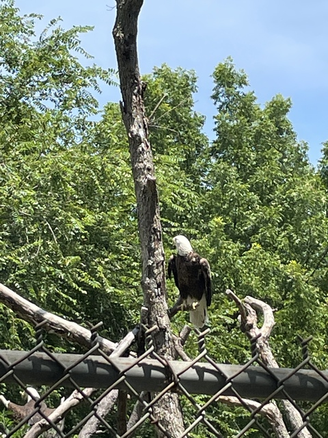 Video leaks kingofthe909