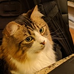 Onlyfans leaked kiridomo 

 profile picture