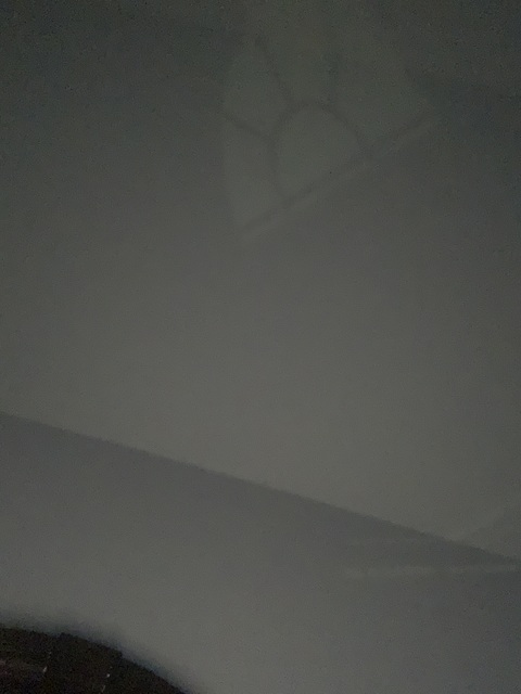 Video leaks kitefly