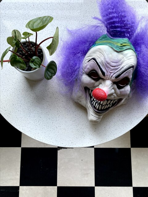 Video leaks kittenxxmeow