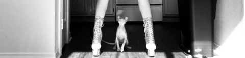 Video leaks kittykorruption