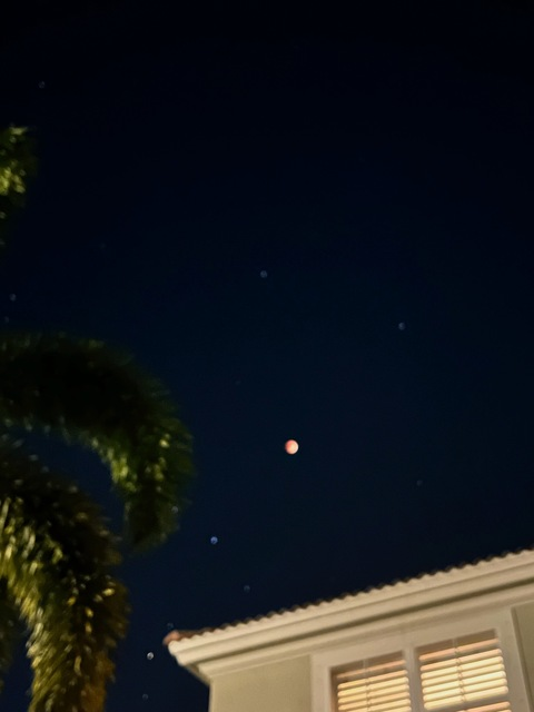 Video leaks kittylux210