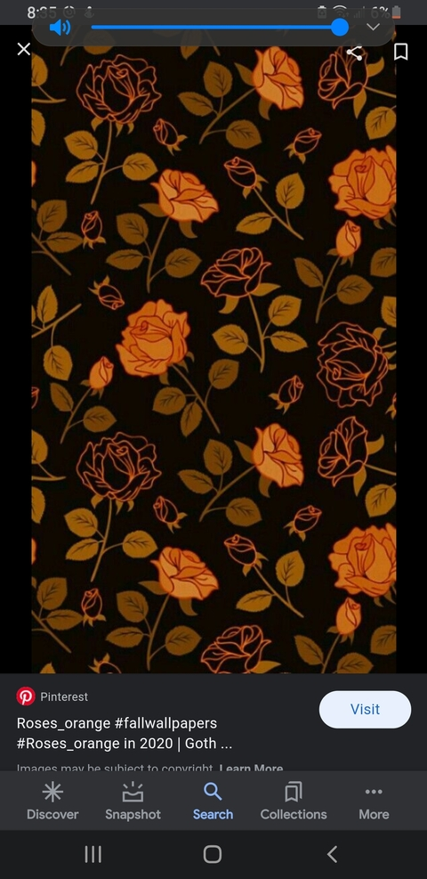 Video leaks kk_hollagays