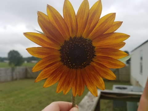 Video leaks knighttimeplay