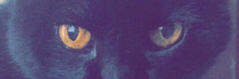 Video leaks kotiitaaylor