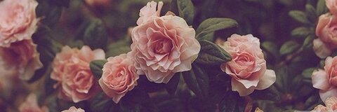 Video leaks kountrybumpkin9