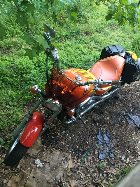 Video leaks kricketchirp