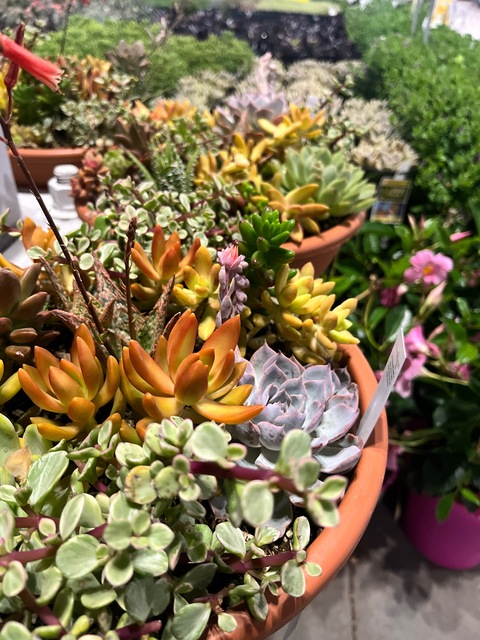 Video leaks kristineekris