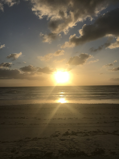 Video leaks ladylexi69