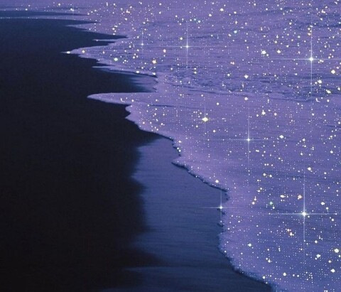 Video leaks lampnextdoor