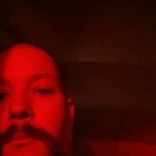 large_rooster Profile Picture