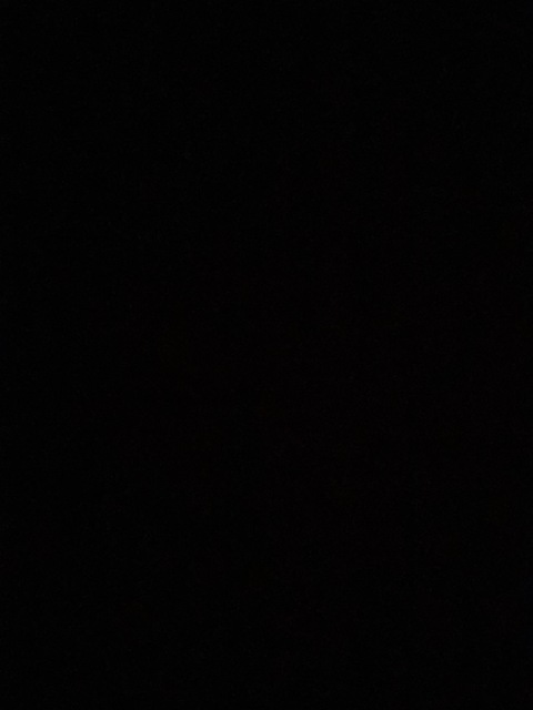 Video leaks laurenbrwn.x
