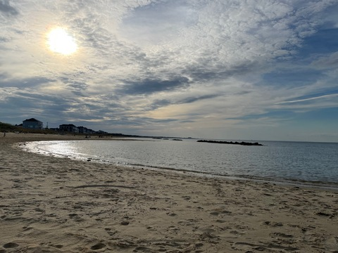 Video leaks laurenhoeing