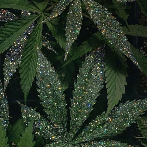 Video leaks leokadya27