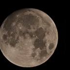 levylkrio Profile Picture