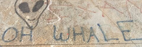 Video leaks lexiroshon