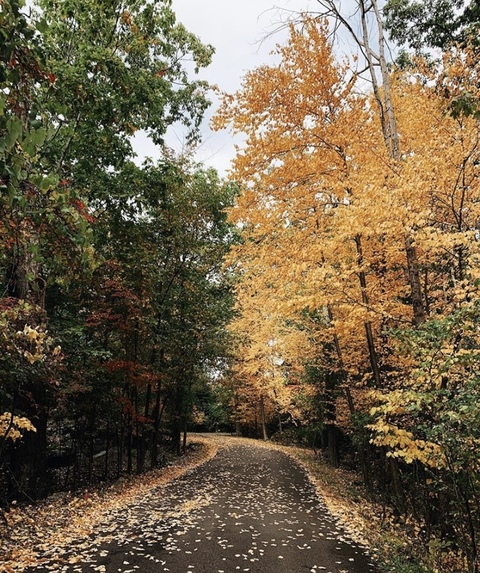 Video leaks lexxxilov3 Video leaks lexxxilov3