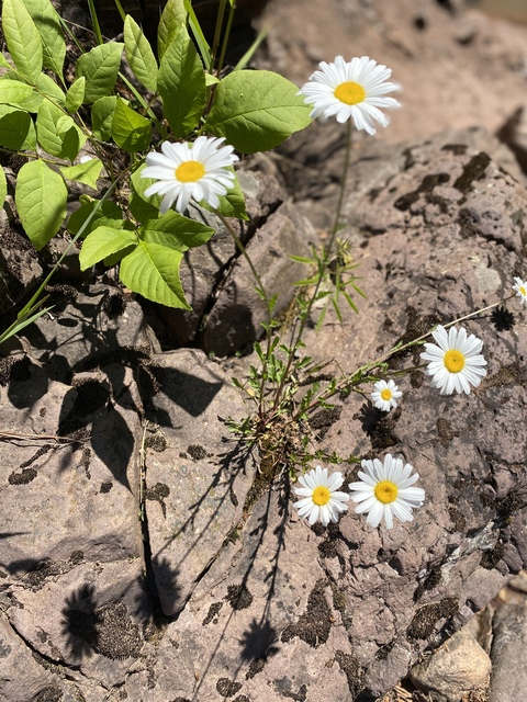 Video leaks lexyxsmith