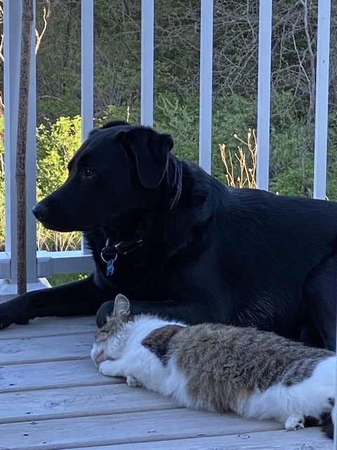 Video leaks liamblu5