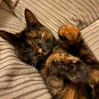 liefchlo Profile Picture