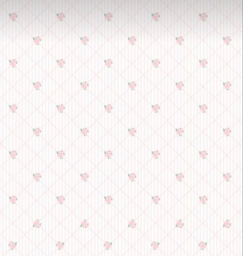 Video leaks lilbabydollll