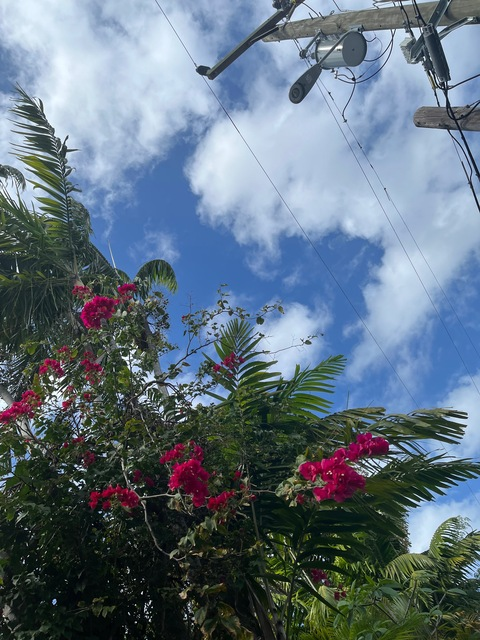 Video leaks lilbbyroxy