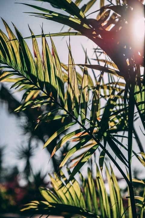 Video leaks lillievixen