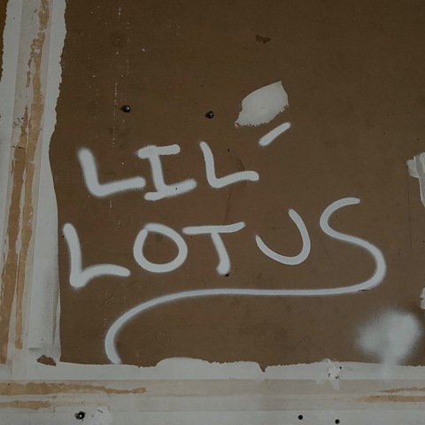 Video leaks lillotus