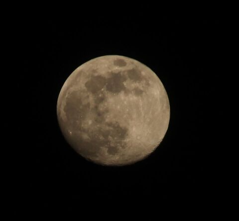 Video leaks lillytheden