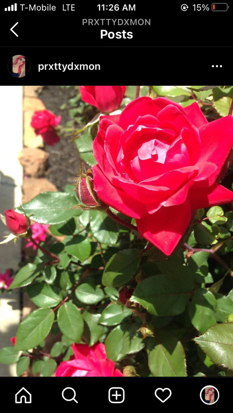 Video leaks lilprxtty