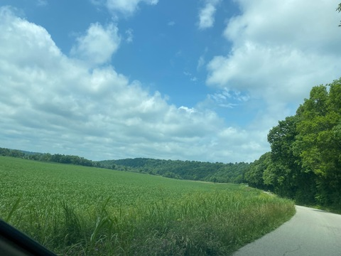 Video leaks linkwmink