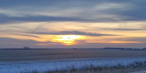 Video leaks lionshowl