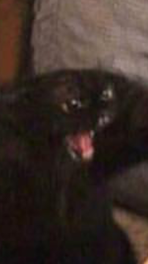 Video leaks lipstick