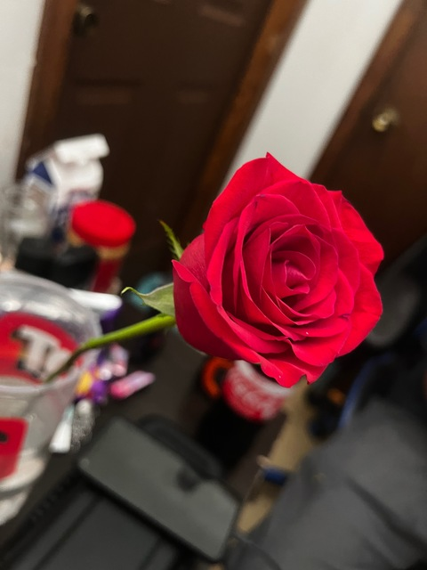 Video leaks little_kitty_kat