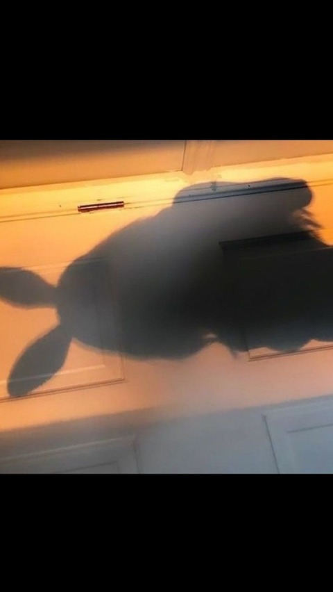 Video leaks littlebbunny