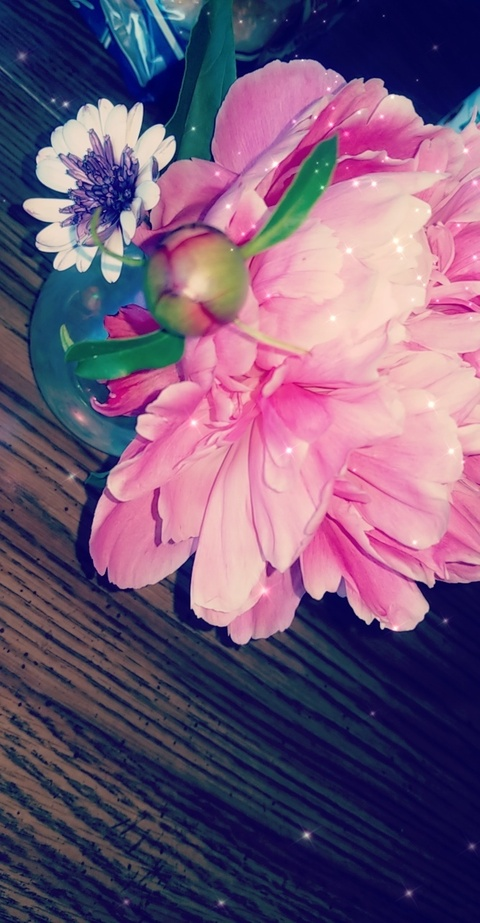 Video leaks littlejessi