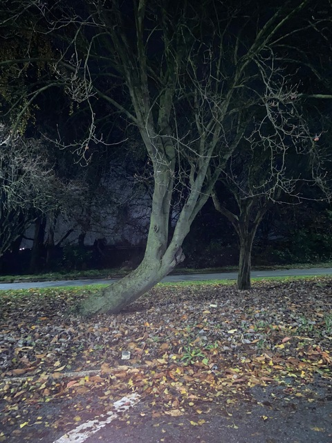 Video leaks littlejorja