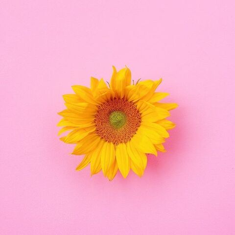 Video leaks littlemisshippie