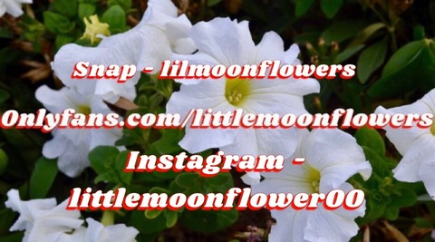 Video leaks littlemoonflowers
