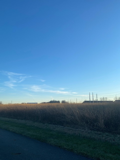 Video leaks littlemothxo