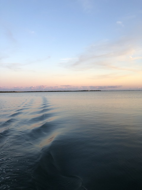 Video leaks liv.skye