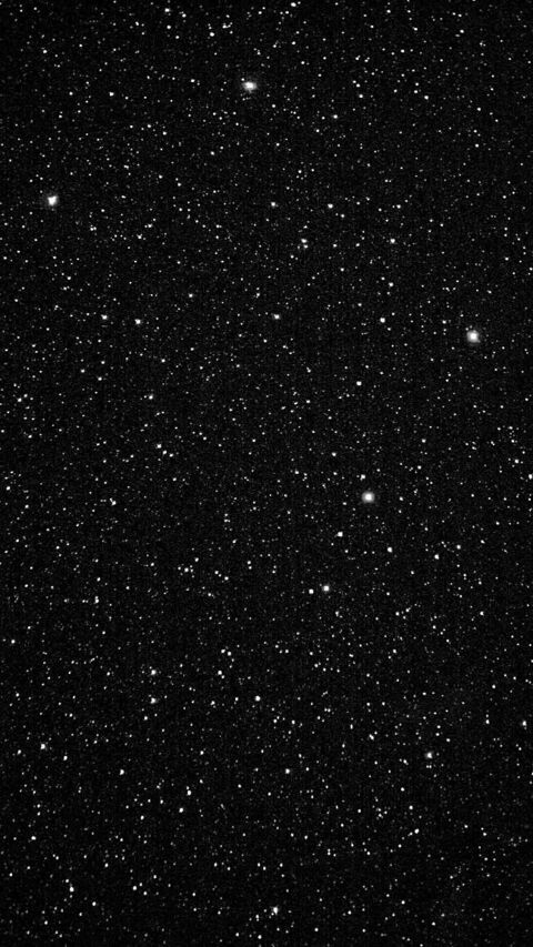 Video leaks livsdownlow